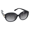 Salvatore Ferragamo Sunglasses plastic Black Auth BA9699-1