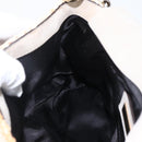 DOLCE&GABBANA Chain Shoulder Bag Raffia Beige Gold Silver Auth BA9904V-19