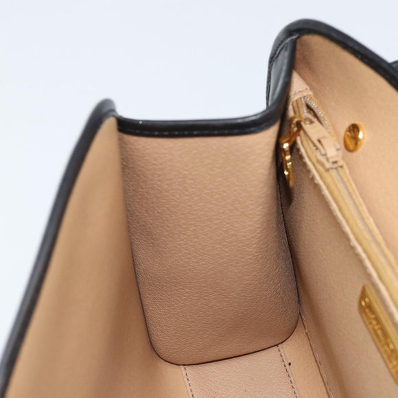 Christian Dior Trotter Canvas Shoulder Bag PVC Black Gold Auth BAZ068A