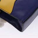 CELINE Chain Shoulder Bag Leather Multicolor Gold Auth BD096AV-16