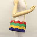 CELINE Chain Shoulder Bag Leather Multicolor Gold Auth BD096AV-23