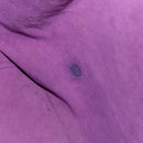 LOUIS VUITTON Epi Petit Noe Shoulder Bag Yellow M44109 LV Auth BD1152-11