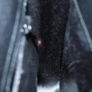 GUCCI Hand Bag Leather 2way Black Auth BD1169-18