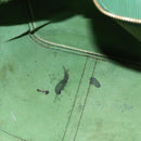 LOUIS VUITTON Epi Keepall 50 Boston Bag Green M42964 LV Auth BD1421-11