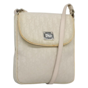Christian Dior Trotter Canvas Shoulder Bag Nylon White Silver Auth BD1628