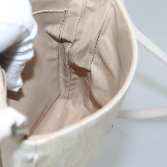 Christian Dior Trotter Canvas Shoulder Bag Nylon White Silver Auth BD1628