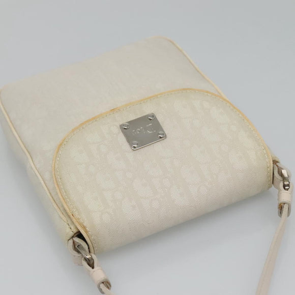 Christian Dior Trotter Canvas Shoulder Bag Nylon White Silver Auth BD1628