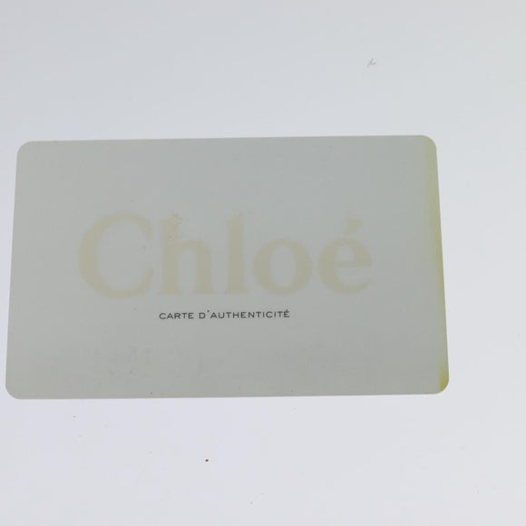 Chloe Paraty Hand Bag Leather 2way Orange Silver Auth BD1784