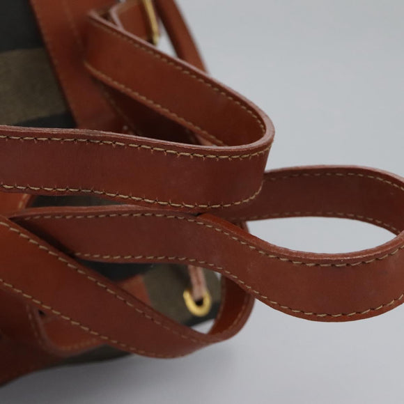 FENDI Pecan Canvas Backpack Brown Black gold Auth BD579