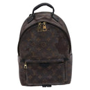 LOUIS VUITTON Monogram Palm Springs PM Backpack M41560 LV Auth BD858-13