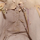 LOUIS VUITTON Monogram Bucket GM Shoulder Bag M42236 LV Auth BD915-11