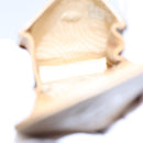 CHANEL COCO Mark Pen Case Caviar Skin Beige CC Auth bs13887-11