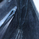 CELINE C Macadam Canvas Clutch Bag Navy Auth bs14643-16