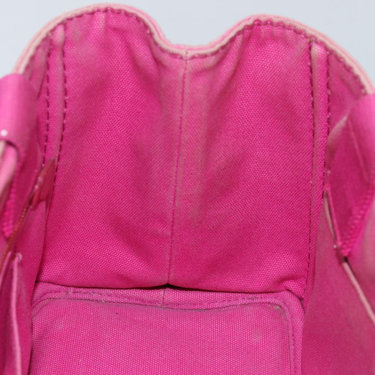 PRADA Canapa PM Hand Bag Canvas Pink Auth bs14850