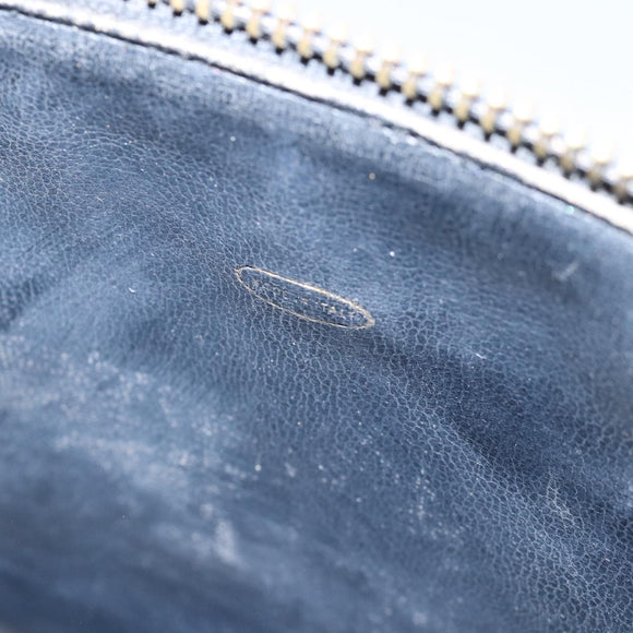 CHANEL Bicolole Vanity Cosmetic Pouch Leather Black CC Auth bs14966