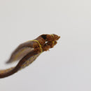 LOUIS VUITTON Monogram Trocadero 23 Shoulder Bag M51276 LV Auth bs17378-23