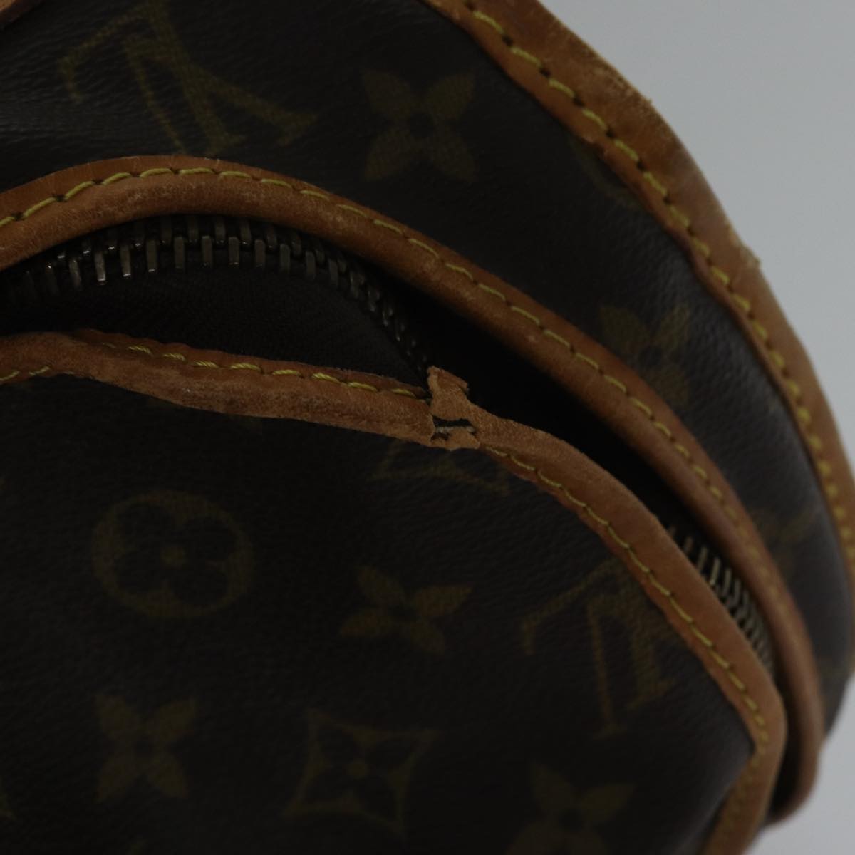 LOUIS VUITTON Monogram Sac Chasseur 40 Pet Carry M41924 LV Auth bs17541