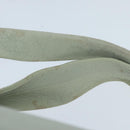 CELINE Shoulder Bag Leather White Brown Auth bs18904-8