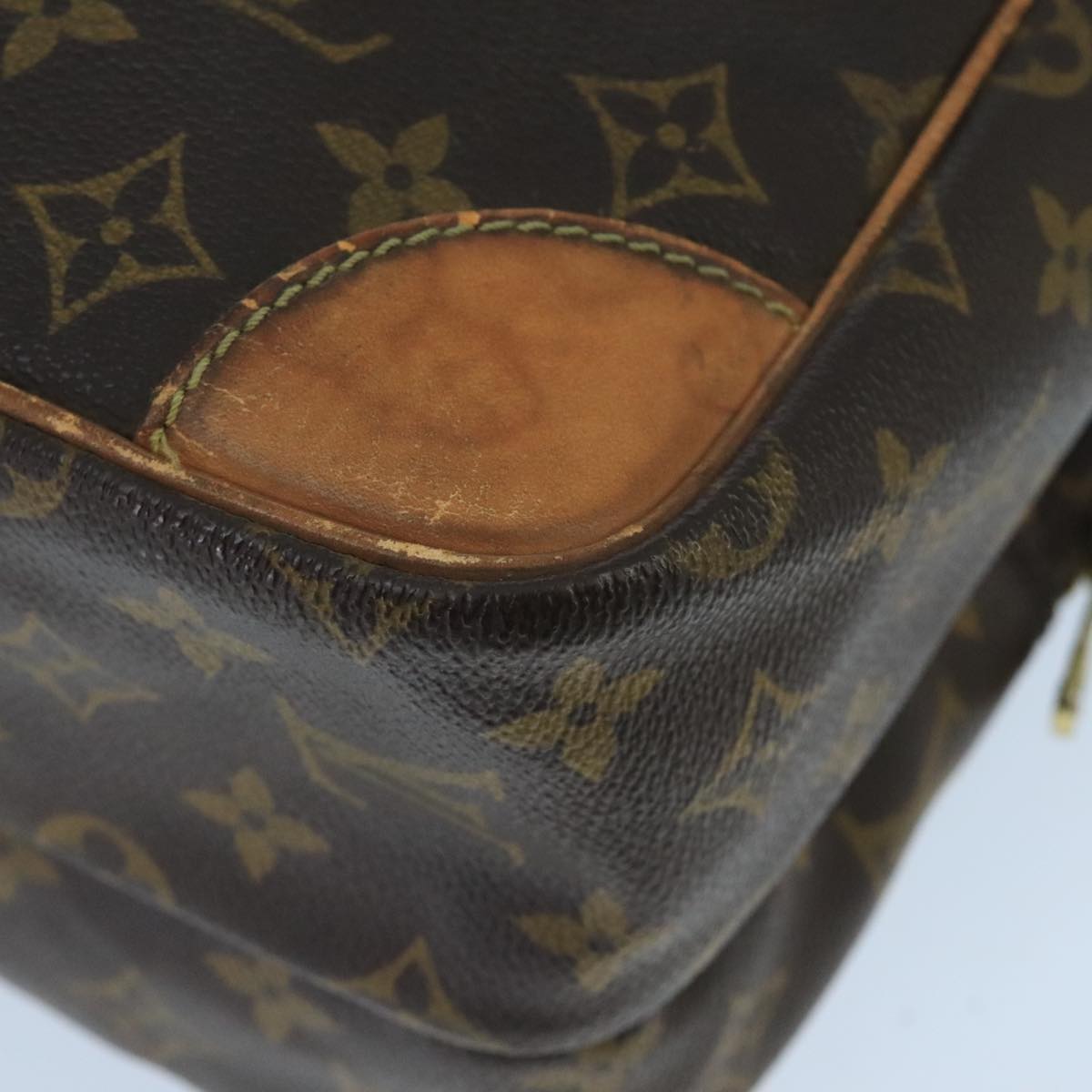 LOUIS VUITTON Monogram Amazon GM Shoulder Bag M45234 LV Auth bs19608