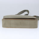 LOUIS VUITTON Damier Geant Messager Shoulder Bag Tail M93030 LV Auth bs20418-5