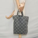 BOTTEGA VENETA Tote Bag Wool Gray Auth bs20839-22