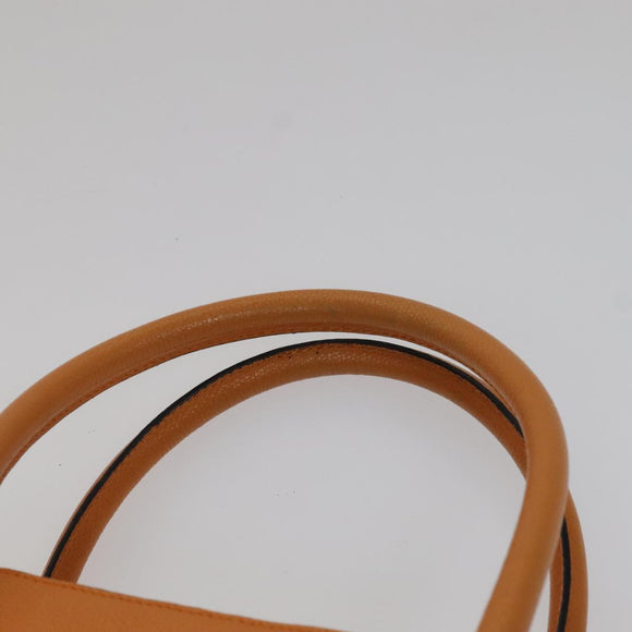CELINE Tote Bag Leather Orange Auth bs21751