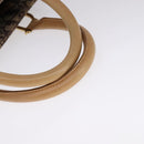 Christian Dior Trotter Canvas Hand Bag Brown Gold Auth bs21990-7