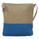 CELINE Shoulder Bag Leather Beige Gold blue Auth bs22533-13