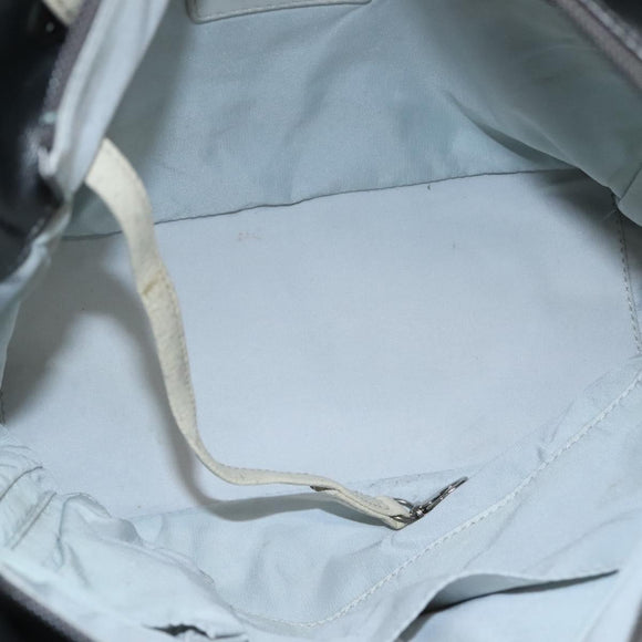 CHANEL Paris Biarritz PM Tote Bag Coated Canvas Silver CC Auth bs23887