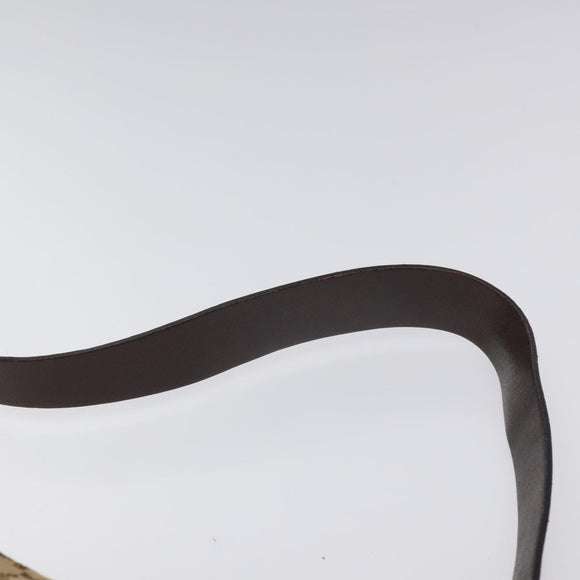 CELINE C Sulky Shoulder Bag Canvas Brown Gold Auth bs24045