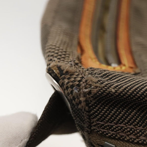 LOUIS VUITTON Damier Geant Sitadan PM Shoulder Bag Tail M93043 LV Auth bs24195