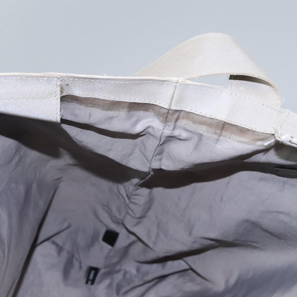 CHANEL Hand Bag Nylon 2way White Gray Silver CC Auth bs24302