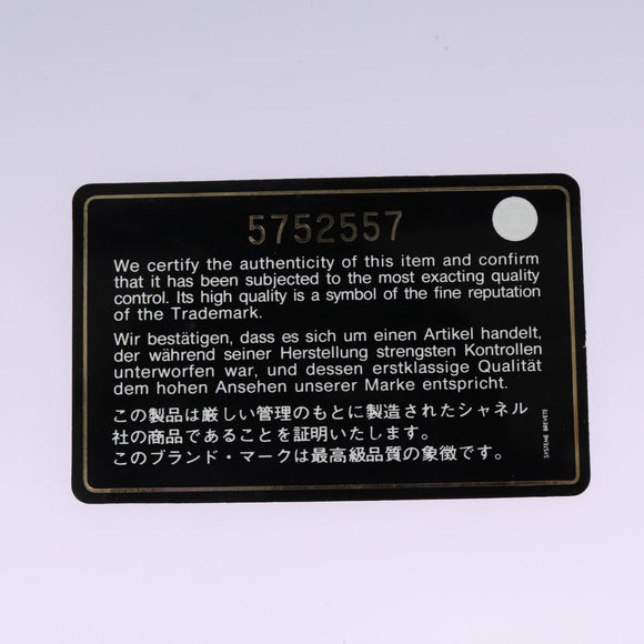 CHANEL Hand Bag Nylon 2way White Gray Silver CC Auth bs24302