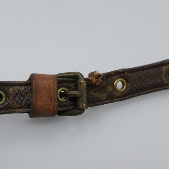 LOUIS VUITTON Monogram Mini Amazon Shoulder Bag M45238 LV Auth bs24571