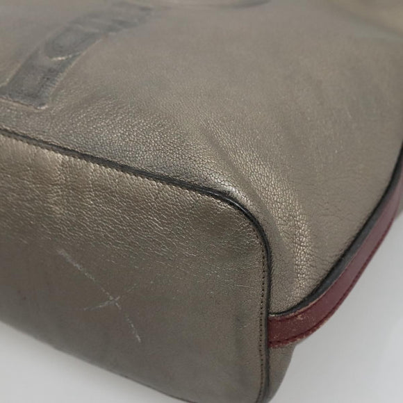 LOEWE Shoulder Bag Leather Silver Auth bs24622