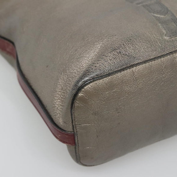 LOEWE Shoulder Bag Leather Silver Auth bs24622