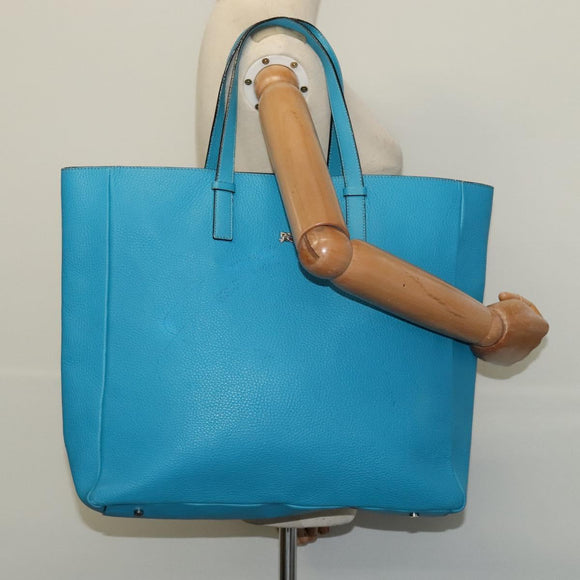 BURBERRY Tote Bag Leather Blue Silver Auth bs24752