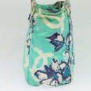 CHANEL Tote Bag Nylon Green Silver CC Auth bs24762-5