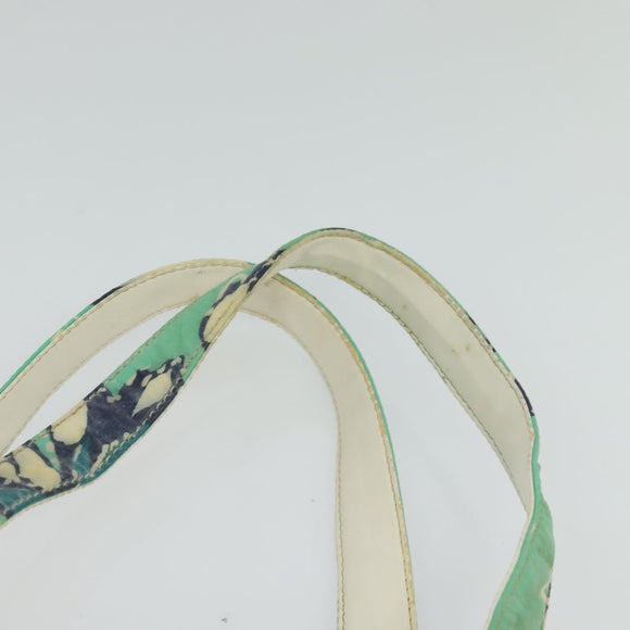 CHANEL Tote Bag Nylon Green Silver CC Auth bs24762