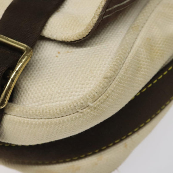 LOUIS VUITTON Antigua Buzzus PM Shoulder Bag Beige Brown M40042 LV Auth bs24988