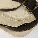 LOUIS VUITTON Antigua Buzzus PM Shoulder Bag Beige Brown M40042 LV Auth bs24988-15