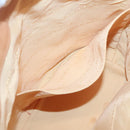 BURBERRY Shoulder Bag Canvas White Silver Auth bs25096-12