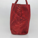 BOTTEGA VENETA Tote Bag Nylon Red Auth bs25362-3