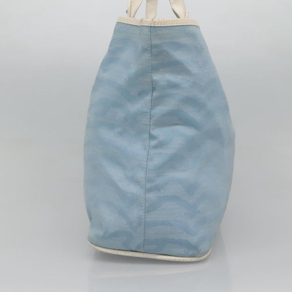 FENDI Tote Bag Canvas Light Blue Auth bs25841