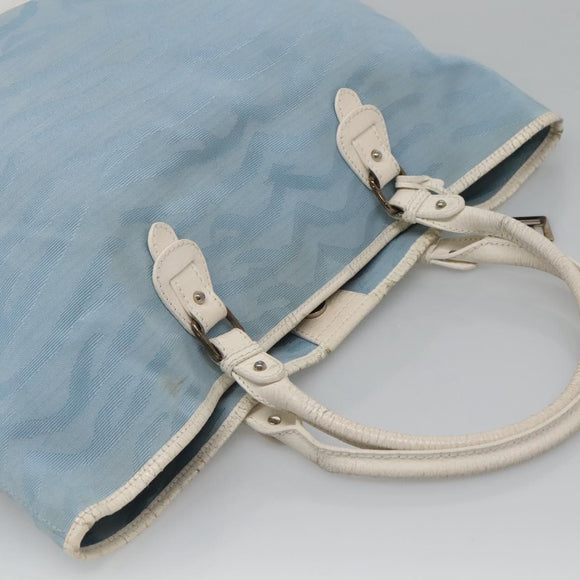 FENDI Tote Bag Canvas Light Blue Auth bs25841
