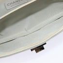 CHANEL Chain Shoulder Bag Nylon Gray CC Auth bs25857-21