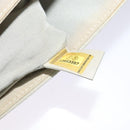 CHANEL Chain Shoulder Bag Nylon Gray CC Auth bs25857-12