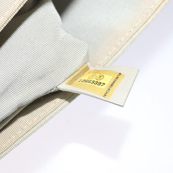 CHANEL Chain Shoulder Bag Nylon Gray CC Auth bs25857