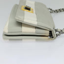 CHANEL Chain Shoulder Bag Nylon Gray CC Auth bs25857-4