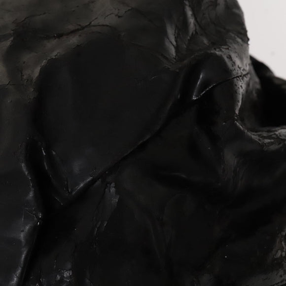 CHANEL Shoulder Bag Enamel Black Silver CC Auth bs25984